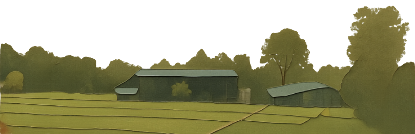Fee for Groundwork illustration
